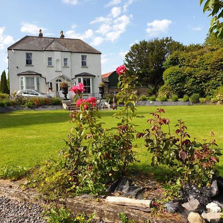 Mount Pleasant Country House Pensionat Lucan Eksteriør billede