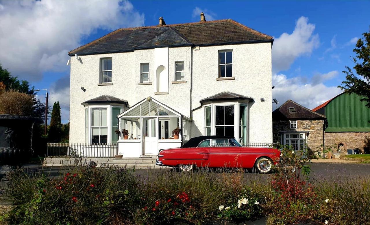 Mount Pleasant Country House Pensionat Lucan Eksteriør billede