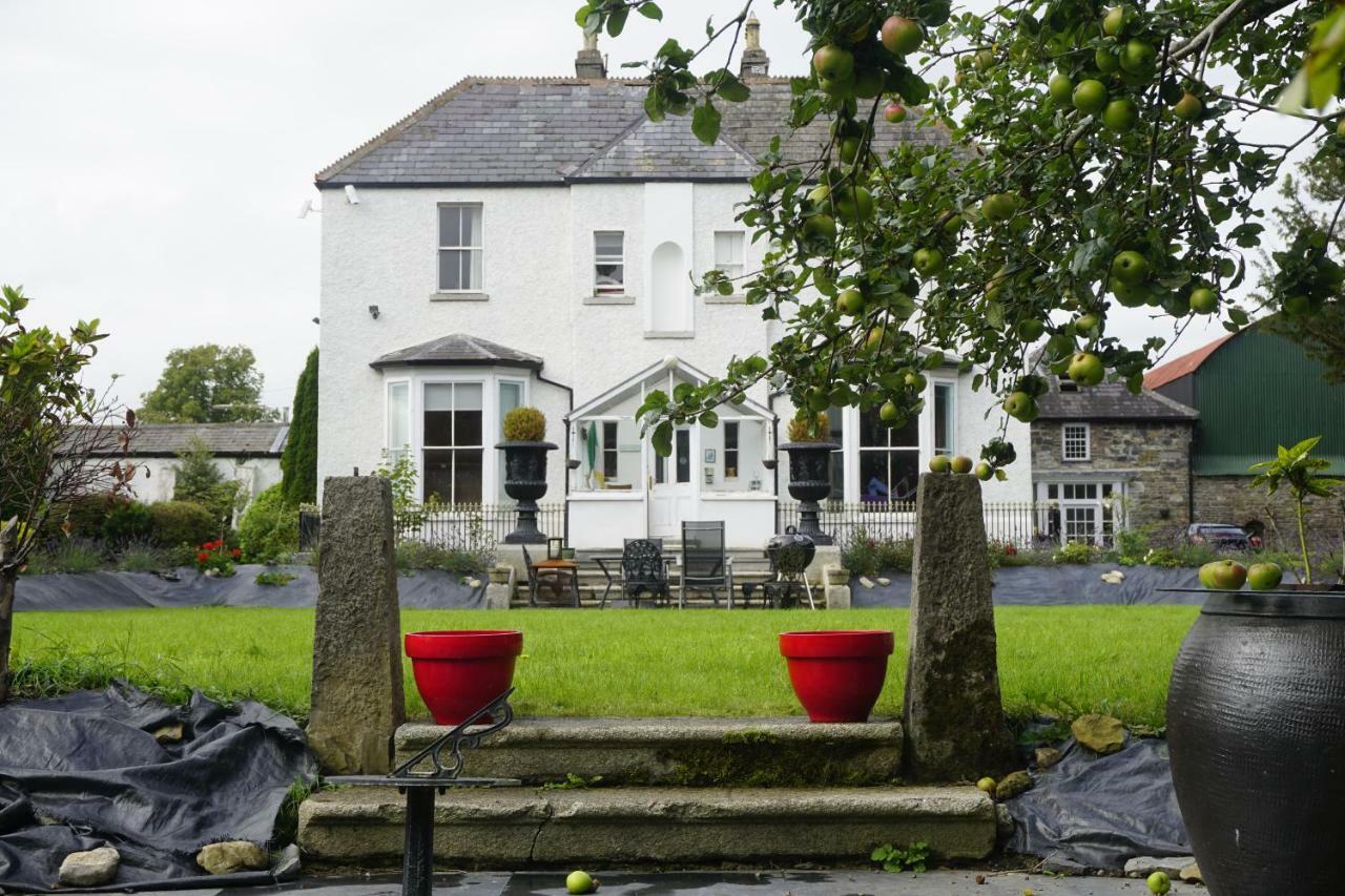 Mount Pleasant Country House Pensionat Lucan Eksteriør billede